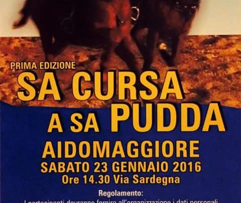 IPPICA: LA TRADIZIONALE MANIFESTAZIONE CARNEVALESCA PER LA PRIMA EDIZIONE ANCHE AD AIDOMAGGIORE