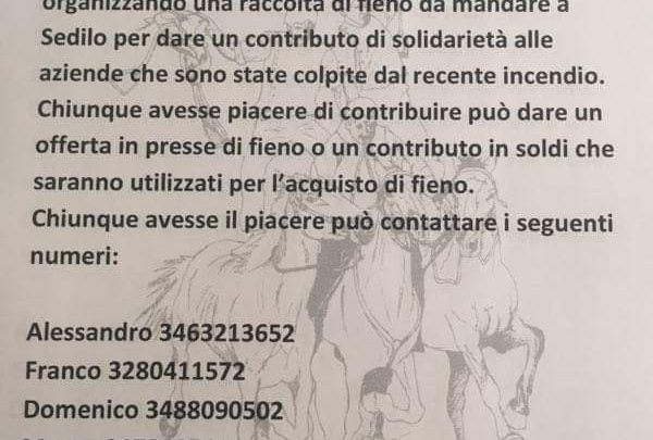 SOLIDARIETÀ E SPORT INSIEME PER AIUTARE GLI ALLEVATORI DI SEDILO. LETTERA-APPELLO DELL’ASSOCIAZIONE IPPICA “SU SEDDATZU” DI ABBASANTA