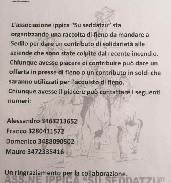 SOLIDARIETÀ E SPORT INSIEME PER AIUTARE GLI ALLEVATORI DI SEDILO. LETTERA-APPELLO DELL’ASSOCIAZIONE IPPICA “SU SEDDATZU” DI ABBASANTA