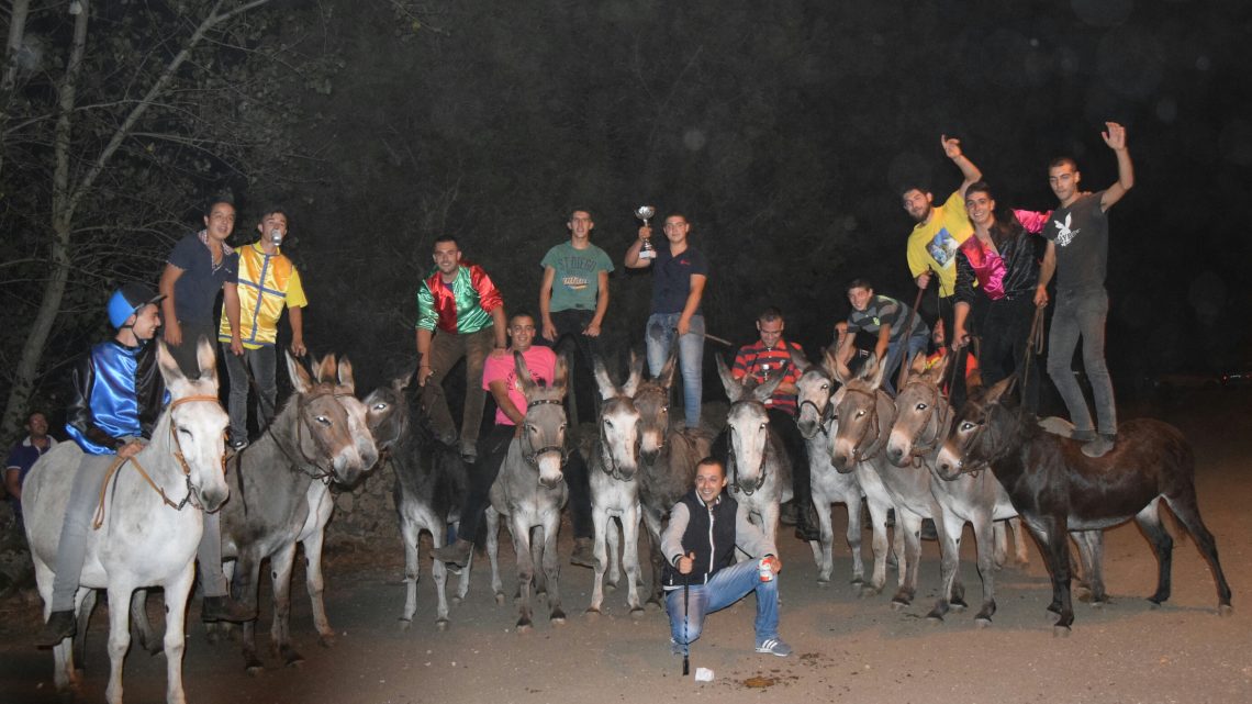 La 9^ edizione del Palio degli Asinelli di S. Ignazio a Norbello vinta da Piermattia Sedda su “Aluba” La 9^ edizione del Palio degli Asinelli di S. Ignazio a Norbello vinta da Piermattia Sedda su “Aluba”