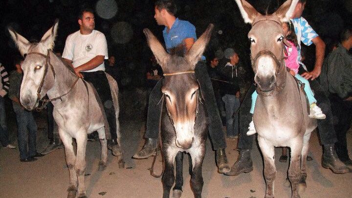 Spettacolo a Norbello per il Palio degli Asinelli. Appuntamento Sabato 3 Settembre a S.Ignazio