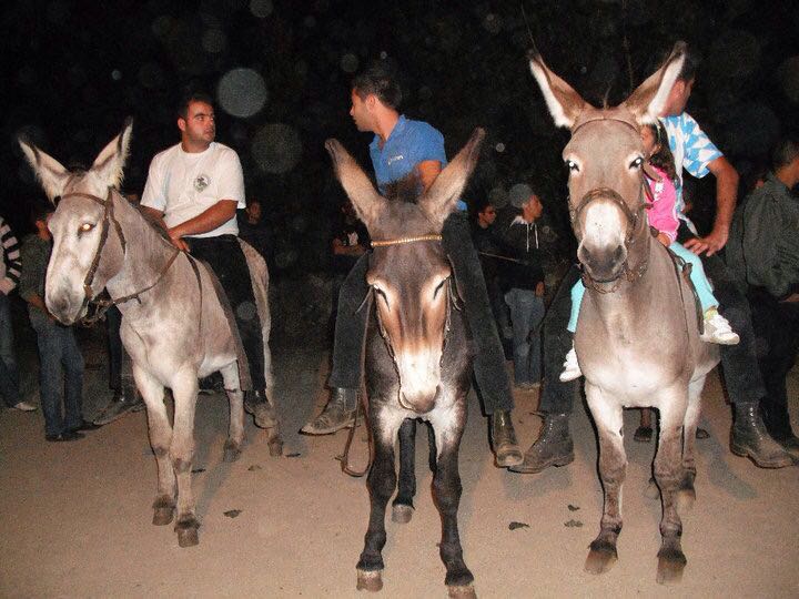 Spettacolo a Norbello per il Palio degli Asinelli. Appuntamento Sabato 3 Settembre a S.Ignazio Spettacolo a Norbello per il Palio degli Asinelli. Appuntamento Sabato 3 Settembre a S.Ignazio