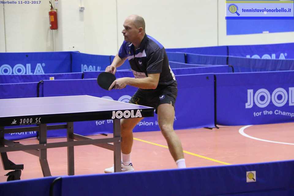 Tennistavolo Maschile Serie A1. Norbello, un pareggio che può valere la stagione.