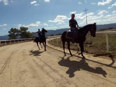 Primo “Palio del Guilcer”, enogastronomia e tradizioni: per due giorni Sedilo si veste a festa