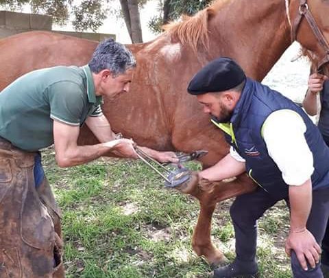 L’Associazione Ippica Ghilarzese protagonista dell’evento “Muristenes in Beranu”