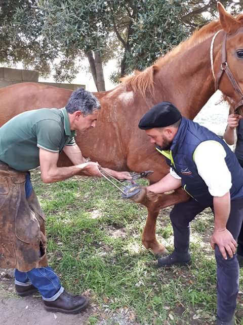 L’Associazione Ippica Ghilarzese protagonista dell’evento “Muristenes in Beranu”