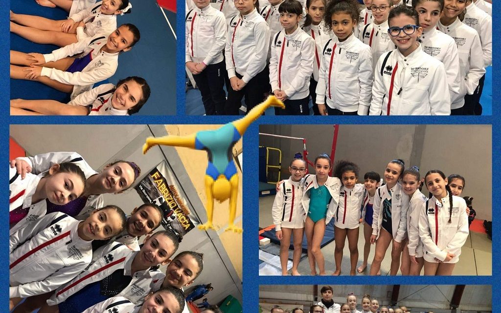 Ginnastica Artistica. La Dragonfly Ghilarza porta a casa brillanti risultati dal campionato regionale