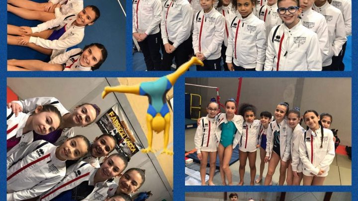 Ginnastica Artistica. La Dragonfly Ghilarza porta a casa brillanti risultati dal campionato regionale