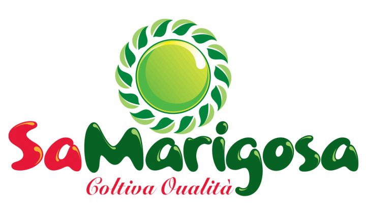 Aziende e Sport. ORGANIZZAZIONE PRODUTTORI SA MARIGOSA