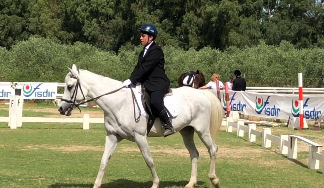 GRANDI EVENTI SPORTIVI/ Dal 21 al 24 ottobre Oristano ospita il Campionato italiano di equitazione paralimpica GRANDI EVENTI SPORTIVI/ Dal 21 al 24 ottobre Oristano ospita il Campionato italiano di equitazione paralimpica