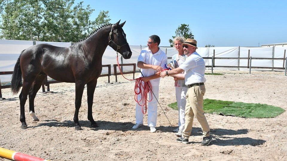 IPPICA /  A Tanca regia dal 26 settembre al 2 ottobre il 60° Premio Regionale Sardo