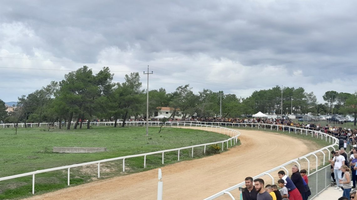 5° PALIO DEL GUILCIER/ Gran pubblico e spettacolo a Sedilo: vince il Comune di Abbasanta si aggiudica con Francesco Caria